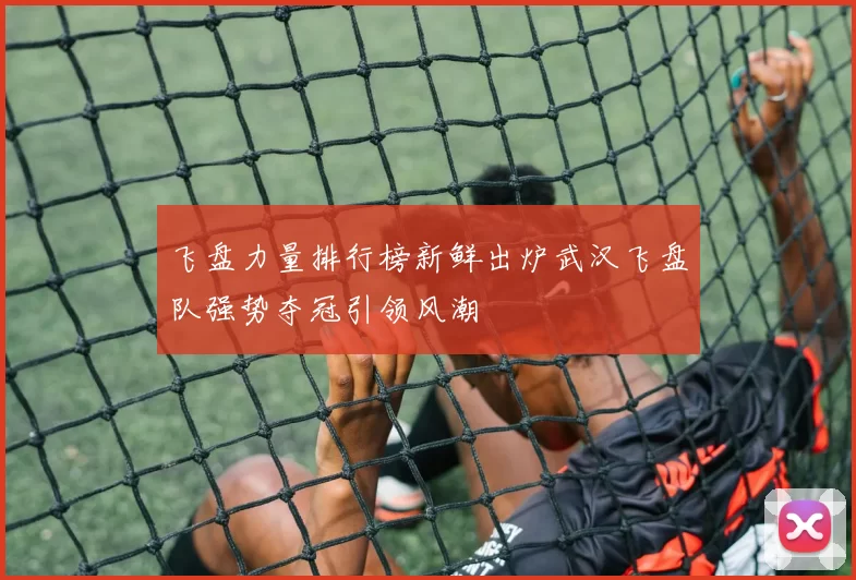 飞盘力量排行榜新鲜出炉武汉飞盘队强势夺冠引领风潮
