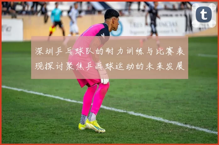 深圳乒乓球队的耐力训练与比赛表现探讨聚焦乒乓球运动的未来发展