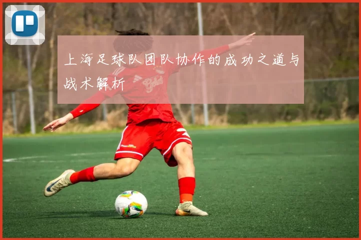 上海足球队团队协作的成功之道与战术解析