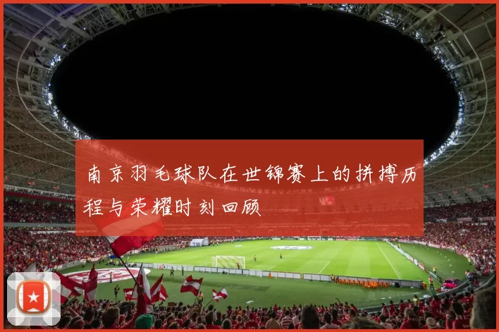南京羽毛球队在世锦赛上的拼搏历程与荣耀时刻回顾
