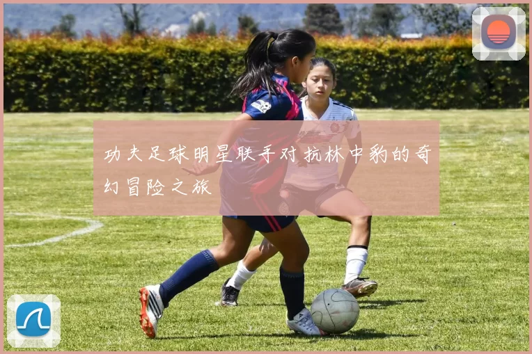 功夫足球明星联手对抗林中豹的奇幻冒险之旅
