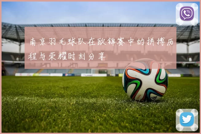南京羽毛球队在欧锦赛中的拼搏历程与荣耀时刻分享