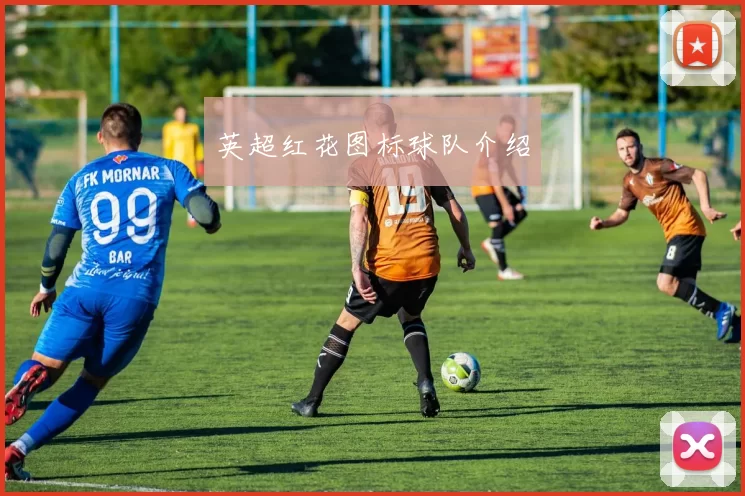 英超红花图标球队介绍