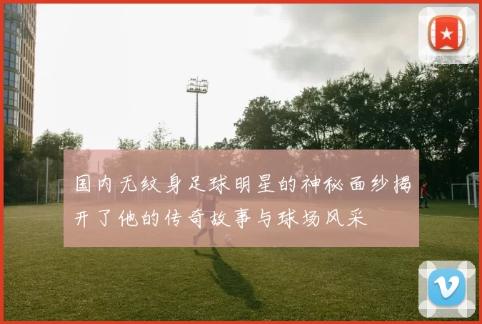 国内无纹身足球明星的神秘面纱揭开了他的传奇故事与球场风采