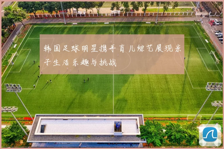 韩国足球明星携手育儿综艺展现亲子生活乐趣与挑战