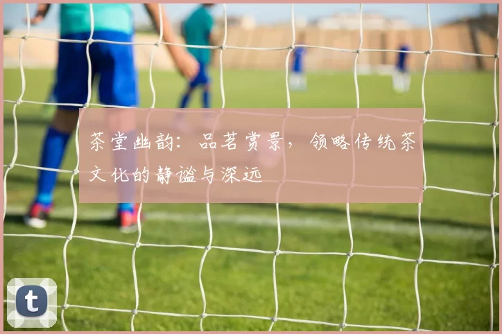 茶堂幽韵：品茗赏景，领略传统茶文化的静谧与深远