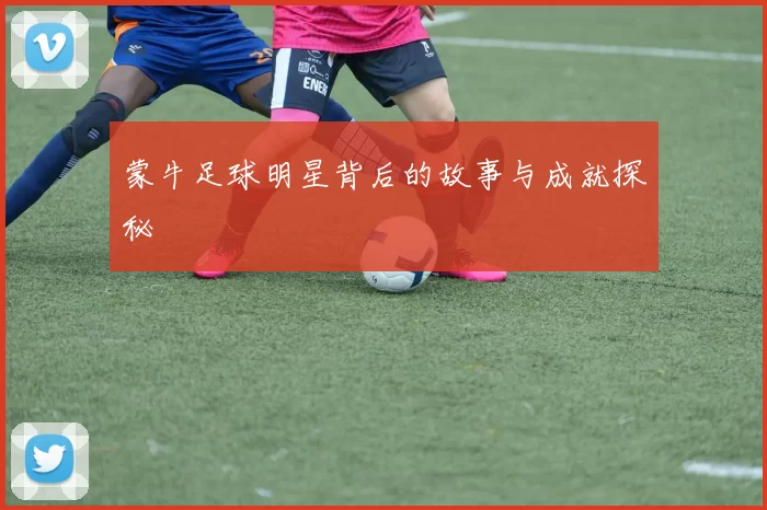 蒙牛足球明星背后的故事与成就探秘