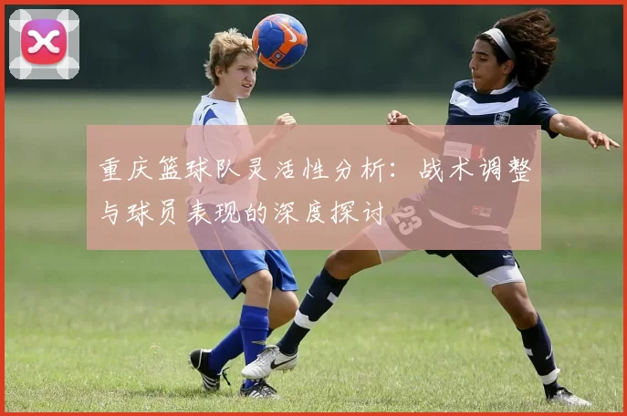 重庆篮球队灵活性分析：战术调整与球员表现的深度探讨