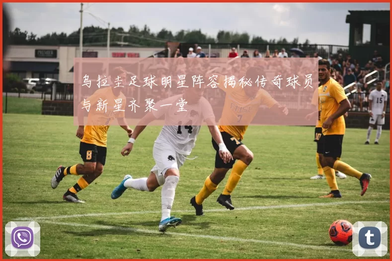 乌拉圭足球明星阵容揭秘传奇球员与新星齐聚一堂