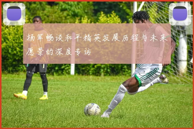 杨军畅谈和平精英发展历程与未来愿景的深度专访