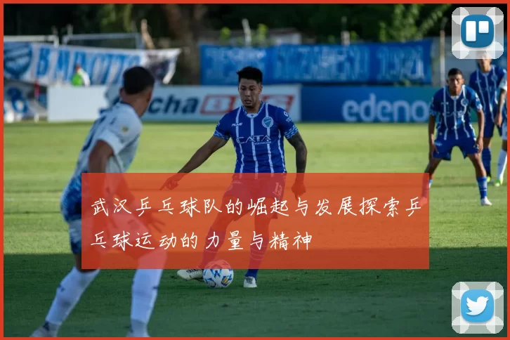 武汉乒乓球队的崛起与发展探索乒乓球运动的力量与精神