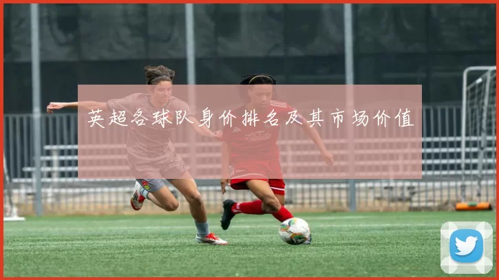 英超各球队身价排名及其市场价值
