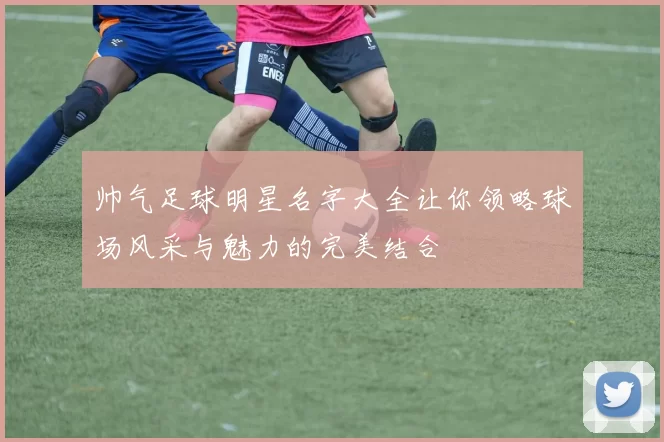 帅气足球明星名字大全让你领略球场风采与魅力的完美结合