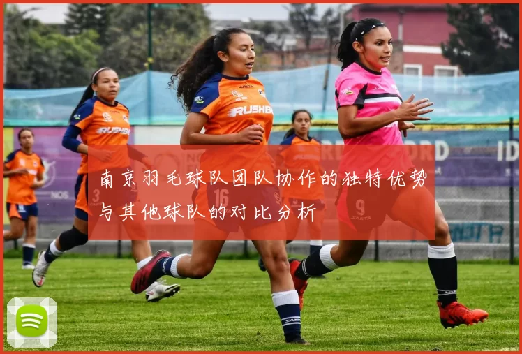 南京羽毛球队团队协作的独特优势与其他球队的对比分析