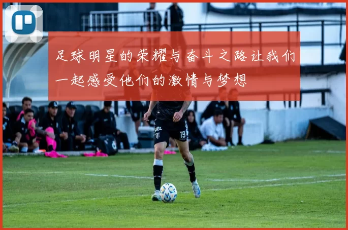 足球明星的荣耀与奋斗之路让我们一起感受他们的激情与梦想