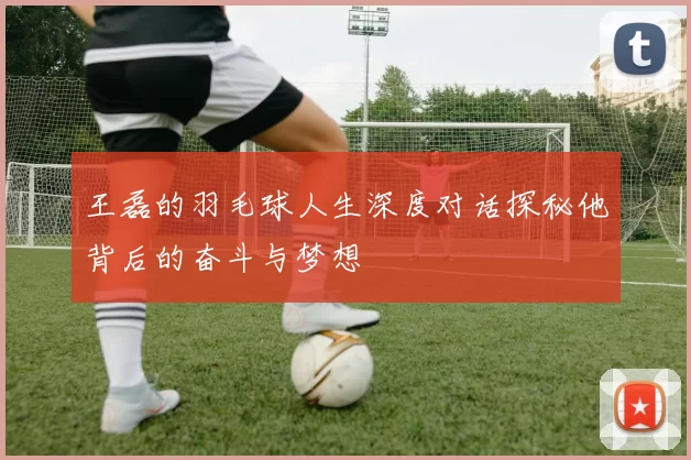 王磊的羽毛球人生深度对话探秘他背后的奋斗与梦想
