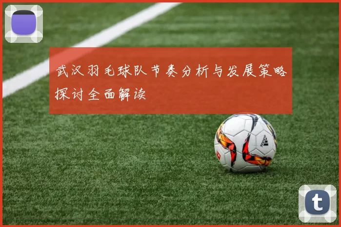 武汉羽毛球队节奏分析与发展策略探讨全面解读