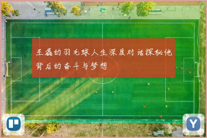 王磊的羽毛球人生深度对话探秘他背后的奋斗与梦想