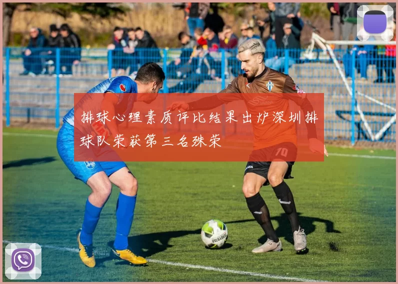 排球心理素质评比结果出炉深圳排球队荣获第三名殊荣