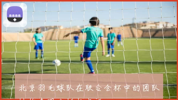 北京羽毛球队在联合会杯中的团队协作表现分析与点评