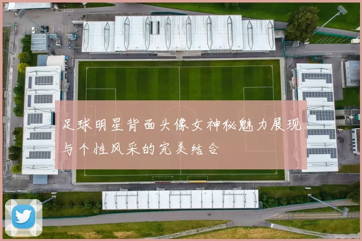 足球明星背面头像女神秘魅力展现与个性风采的完美结合