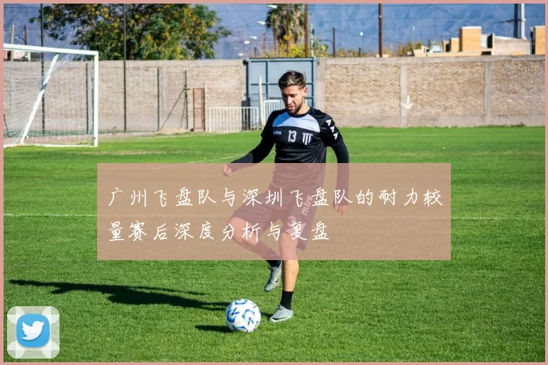 广州飞盘队与深圳飞盘队的耐力较量赛后深度分析与复盘