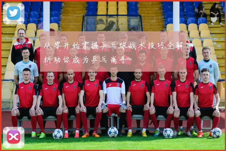从零开始掌握乒乓球战术技巧全解析助你成为乒乓高手