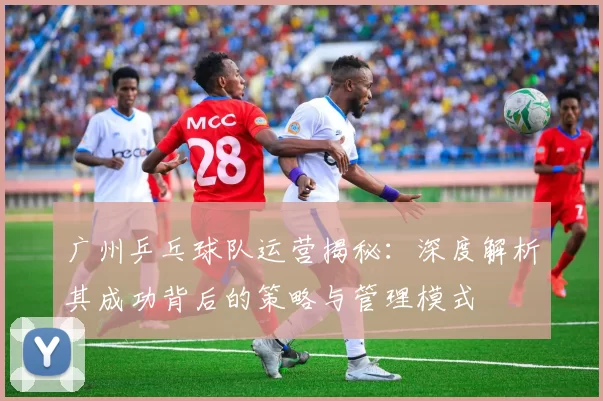 广州乒乓球队运营揭秘：深度解析其成功背后的策略与管理模式