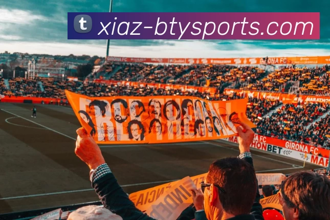 b体育APP 封面图